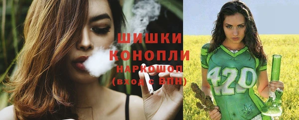 a pvp Ельня