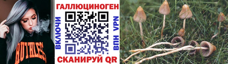 Галлюциногенные грибы GOLDEN TEACHER  купить наркоту  это телеграм  Козловка 
